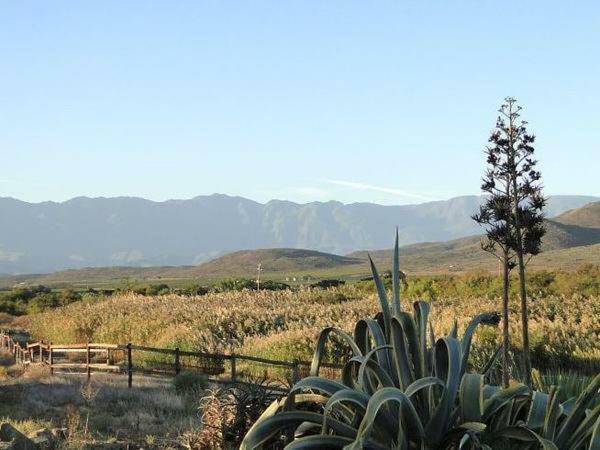 Tanagra Wine & Guestfarm Apartment McGregor Exterior photo
